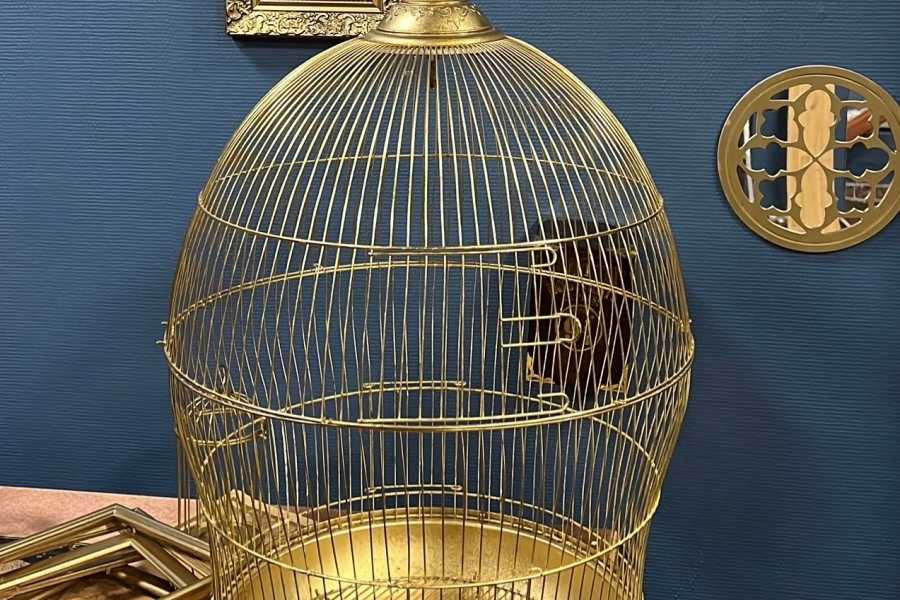 Квест в реальности Один день в Хогвартсе от компании Сова Квест в реальности Один день в Хогвартсе от компании Сова